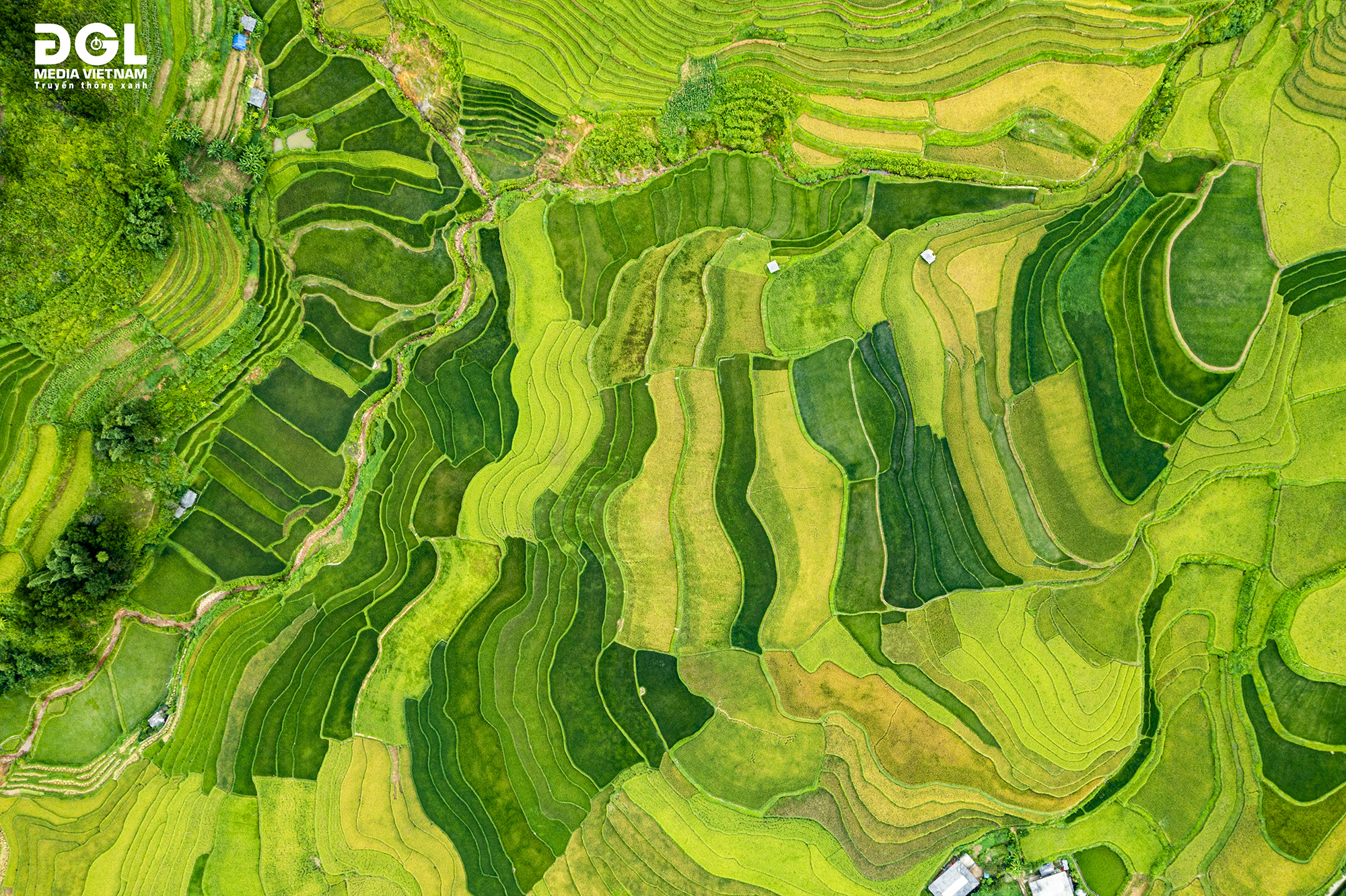 PHONG CẢNH VIỆT NAM